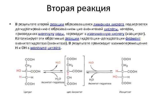 Ссылка кракен не работает