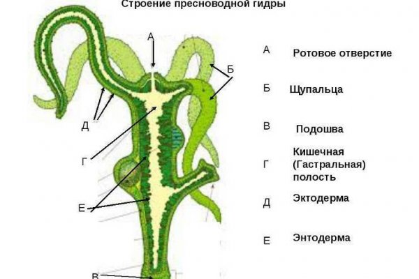 Кракен наркота что это