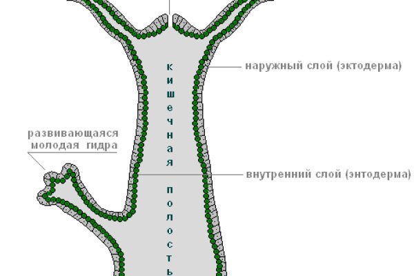 Кракен войти на сайт