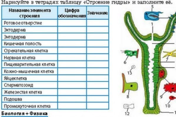 Не могу зайти на сайт кракен