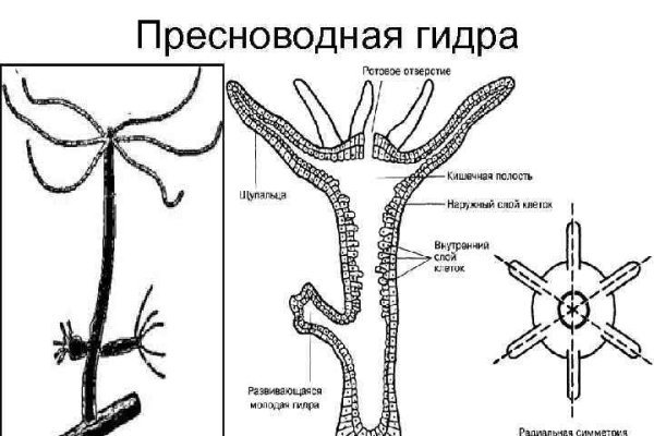 Как регистрироваться и заходить на кракен даркнет